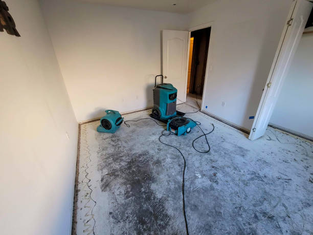 Best Water damage contractors near me  in La Salle, CO