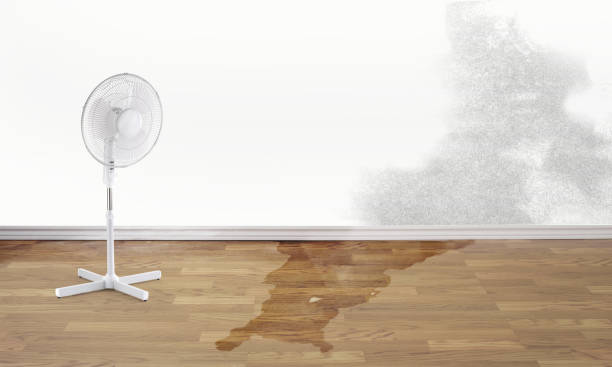 Best Local water damage restoration  in La Salle, CO