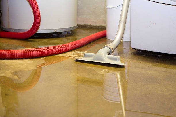 Professional Water damage restoration in CO