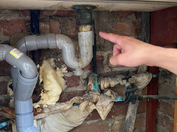 Best Sewage cleanup and water damage restoration  in La Salle, CO